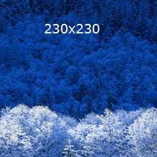 https://testi.snky.fi/uploads/images/snky-logo-tausta/testikuva_230x230.jpg